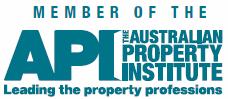 API logo